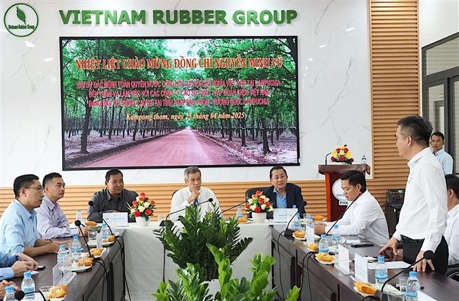 Séance de travail entre l'ambassadeur du Vietnam au Cambodge Nguyên Minh Vu et les représentants de trois entreprises de caoutchouc : Ba Ria Kampong Thom, Phuoc Hoa Kampong Thom et Tan Bien Kampong Thom. Photo : VNA 