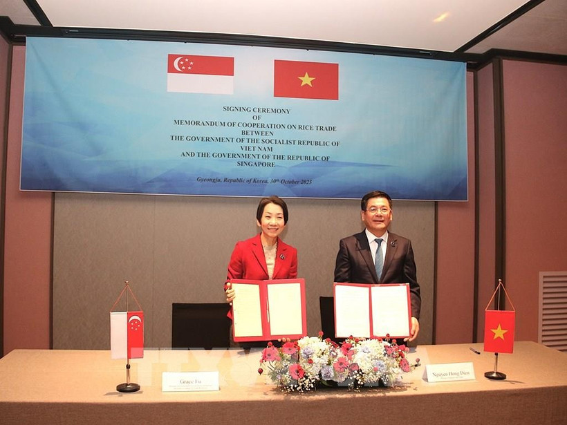 Le ministre vietnamien de l'Industrie et du Commerce, Nguyên Hông Diên (à droite), et la ministre singapourienne du Développement durable et de l'Environnement, également chargée des Relations commerciales, Grace Fu. échangent le protocole d'accord de coopération. Photo: VNA