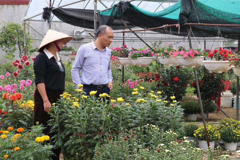 Dans le village floral de Ninh Phuc, quartier Dong Hoa Lu, province de Ninh Binh. Photo: VNA