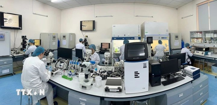 Laboratoire de biotechnologie de l'Université internationale relevant de l'Université nationale à Hô Chi Minh-Ville. Photo : VNA