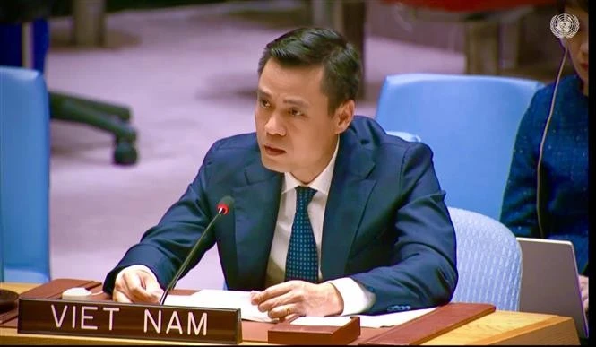 L'ambassadeur Dang Hoang Giang, chef de la Mission permanente du Vietnam auprès de l'ONU. Photo: VNA