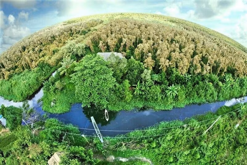 La télédétection au service du suivi et de la vérification des crédits carbone forestiers au Vietnam. Photo : Département de la télédétection nationale 