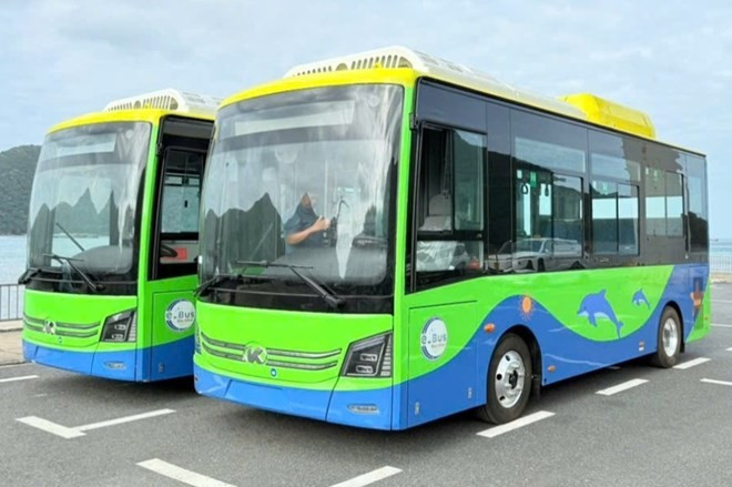 Côn Dao mettra en service sa première ligne de bus électrique publique le 25 décembre. Photo: laodong.vn