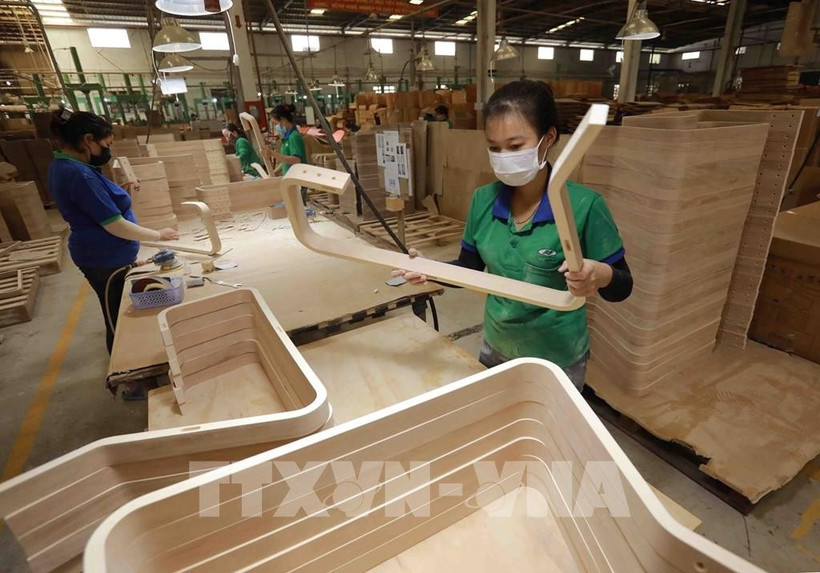 La transparence de l'origine du bois constitue également une exigence clé pour que le Vietnam puisse obtenir la licence FLEGT. Photo: VNA