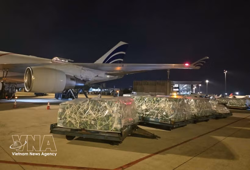 Le déchargement des marchandises a lieu à l'aéroport. Photo: VNA