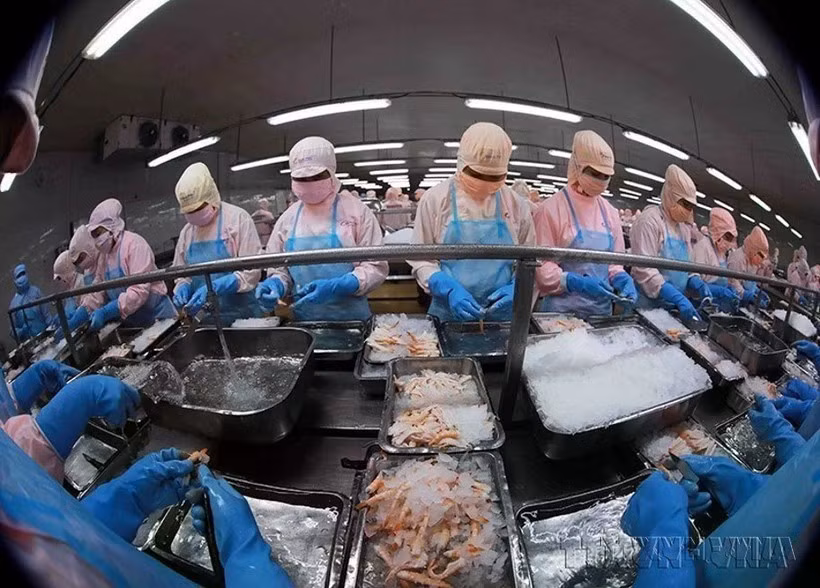 L'exportation de produits aquatiques est l'un des secteurs économiques clés. Photo: VNA