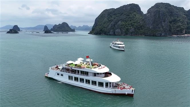 Des premiers navires du projet de développement d'une flotte de navires de croisière de jour et de nuit sur la baie de Bai Tu Long. Photo: VNA