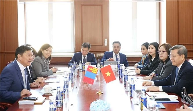 La délégation vietnamienne s'entretient avec celle de la Cour suprême de Mongolie. Photo: VNA