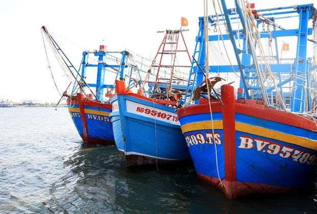 Des bateaux de pêche ancrés dans l'estuaire. Photo : VNA
