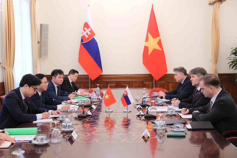 Panorama de la consultation politique Vietnam-Slovaquie. Photo: VNA