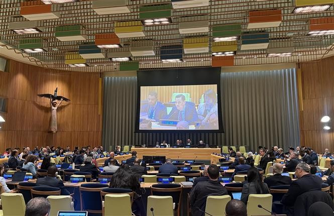 L'ambassadeur Dang Hoang Giang, chef de la Mission permanente du Vietnam auprès des Nations Unies, prend la parole. Photo : VNA