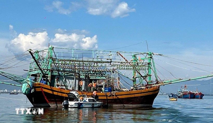 Les gardes-frontières de la ville de Dà Nang vérifient les documents de départ des bateaux de pêche. Photo: VNA
