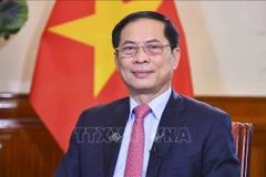 Le vice-Premier ministre et ministre des Affaires étrangères Bui Thanh Son. Photo : VNA