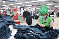 Le secteur du textile-habillement est l'un de grands contributeurs à l'économie nationale. Photo: VNA