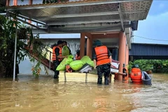 L’étendue des dégâts est apparue au fil de la journée avec l’évacuation d’habitants de leurs maisons inondées, ici dans la province de Bac Ninh. Photo : VNA