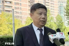 Le professeur Xu Liping, directeur du Centre d’études de l’Asie du Sud-Est de l’Académie chinoise des sciences sociales (CASS). Photo: VNA