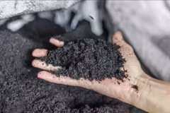 HUSK transforme la balle de riz en biochar et en engrais. Photo : CTV/CVN
