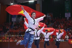 Le Vietnam vise une excellence sportive pour les compétitions internationales.