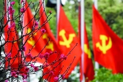 Des drapeaux frappés de la faucille et du marteau au milieu des fleurs de pêcher. Photo: VNA