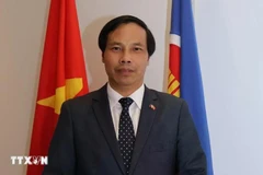 L’ambassadeur du Vietnam au Qatar, Nguyên Huy Hiêp. Photo: VNA