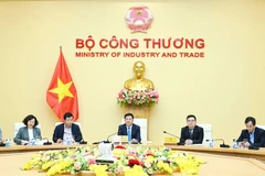 Le ministre de l'Industrie et du Commerce, Nguyên Hông Diên travaille avec le Comité populaire de la province de Binh Dinh sur l'investissement dans le projet de complexe de production de tissus de haute technologie du groupe Syre. Photo: baochinhphu.vn