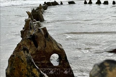 Une épave centenaire refait surface au large de Hôi An après le passage du typhon Kalmaegi. Photo: VNA