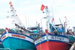 Des bateaux accostent au port de pêche de Ba Tri, commune de Tân Thuy, province de Vinh Long. Photo : baovinhlong.com.vn