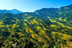 Panorama du parc national de Bat Xat dans la province septentrionale de Lào Cai. vneconomy.vn