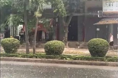 Des billes de glace observées sur des routes de la commune de Doài Phuong, à Hanoi, le 29 mars. Photo : kinhtemoitruong.vn