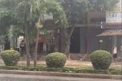 Des billes de glace observées sur des routes de la commune de Doài Phuong, à Hanoi, le 29 mars. Photo : kinhtemoitruong.vn