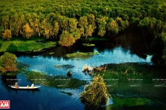 Les écosystèmes du parc national d’U Minh Thuong sont variés. Photo: VNP