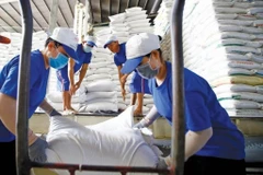 En 2024, le riz continue de figurer en tête de la liste des produits d'exportation phares du Vietnam vers les Philippines. Photo: VNA