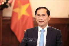 Le vice-Premier ministre et ministre des Affaires étrangères Bui Thanh Son. Photo : VNA