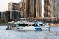 La croisière sur la rivière Saigon apporte aux touristes des vues différentes et originales de Hô Chi Minh-Ville. Photo: VNA
