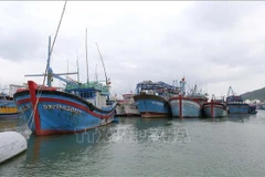 La province de Khanh Hoa surveille de près sa flotte de pêche. Photo : VNA