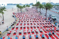Des clubs de yoga s’unissent pour une performance synchronisée sur les rives de la baie de Ha Long. Photo: VOV