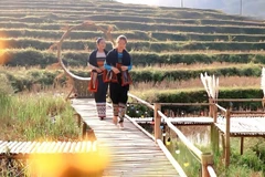 Ban But ne propose pas de resorts luxueux, mais propose l’essentiel : l’authenticité. Photo : baovanhoa.vn 