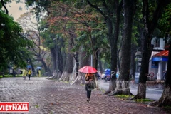 Des pluies et des averses éparses sont attendues à partir de la nuit du 2 mars en raison de l'arrivée d'une nouvelle masse d'air froid. Photo d’illustration : VNP