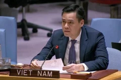 L’ambassadeur Dang Hoàng Giang, représentant permanent du Vietnam auprès des Nations Unies, prend la parole lors du débat. Photo : VNA