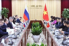 La vice-ministre des Affaires étrangères Lê Thi Thu Hang et son homologue russe Andreï Roudenko coprésident la consultation politique, à Hanoi le 21 février. Photo: VNA