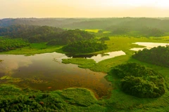Lac Bàu Sâu, dans le parc national de Cat Tiên, province de Dông Nai. Photo : VNA