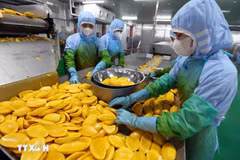 Produits agricoles transformés pour l’exportation. Photo : VNA