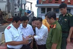L'équipe d'inspection de la pêche INN accède au Système de surveillance des navires (VMS) pour suivre la localisation et les activités des bateaux de pêche dans la ville de Cân Tho. Photo : VNA