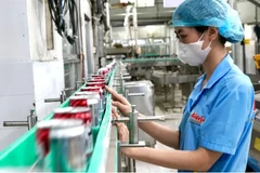 Chez la SARL Tan Quang Minh (Bidrico), à Hô Chi Minh-Ville. Photo : sggp.org.vn