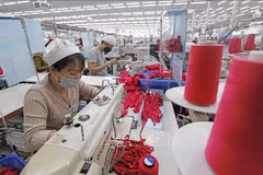 Usine SCAVI Huê, détenue à 100% par le Groupe Financier B’Lao (France), spécialisée dans la production de sous-vêtements, vêtements de sport et de protection… , dans la zone industrielle de Phong Diên, province de Thua Thiên- Huê. Photo : VNA
