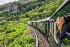 Les touristes vivront plus d'expérience en voyageant en train. Photo: truyenhinhnghean.vn