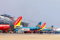 Les avions des compagnies aériennes vietnamiennes à l’aéroport international de Nôi Bài, à Hanoi. Photo : VNA