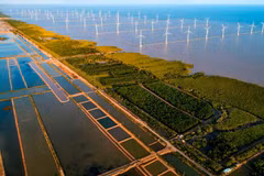 En Asie du Sud-Est, le Vietnam est l’un des premiers pays à avoir choisi la voie de la croissance verte. Photo : TNMT