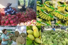 Le Premier ministre ordonne des mesures proactives pour stimuler la consommation de produits agricoles. Photo : VNA
