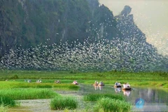 Le tourisme ornithologique est bien plus qu’une simple activité de loisirs : il permet de découvrir la faune locale tout en contribuant à la préservation de la nature.
